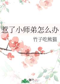 惹了小师弟怎么办封面